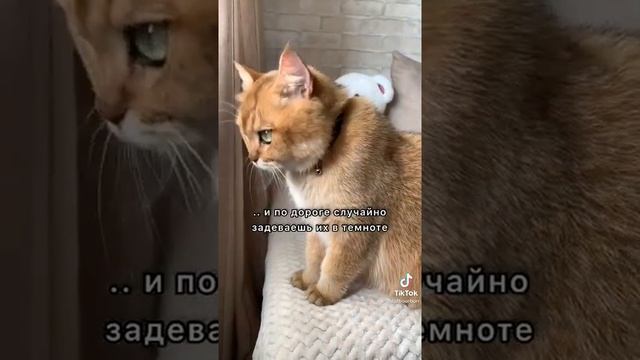 Сделай Это Сам