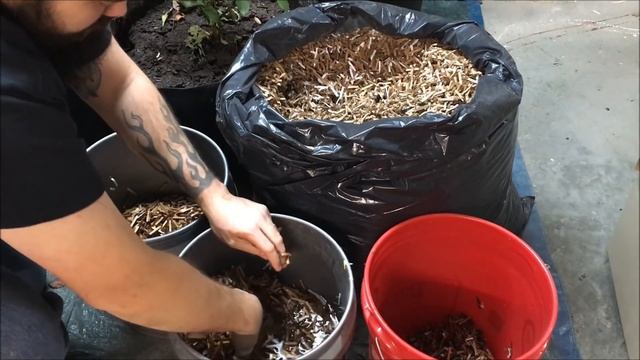 How I Start A New Worm Bin смотреть онлайн