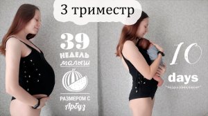 Мой третий триместр ?