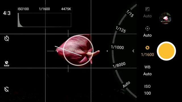 Mobile Camera Pro Mode Tutorial | Part 2 | Malayalam