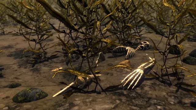 Skyrim Mysteries That Remain Unsolved смотреть онлайн