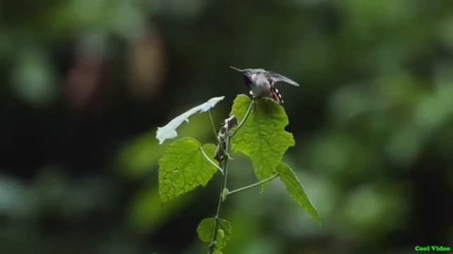 /Что делать если закончились деньги?/Простая практика/ смотреть онлайн
