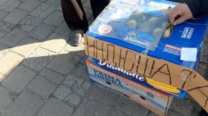 Птичий рынок Цены на цыплят утки гуси куры кролики затеняющая сетка