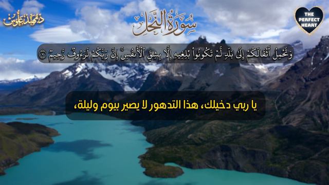 Ep 05| Life Lessons And Spiritual Insights | الحلقة ٥ | تأملات في سورة النحل: دروس حياتية وروحية