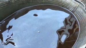 Плохо греет печка Лачетти 1.6 | чистка лимонной кислотой