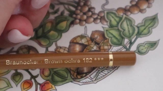 Down the Rabbit Hole | Adult Colouring | Polychromos 120 | Enchanted Forest Johanna Basford смотреть онлайн