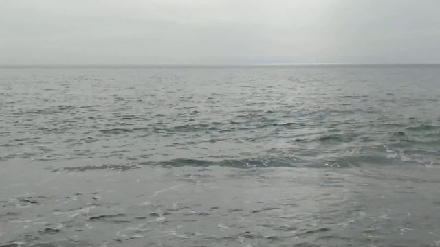 Море - вдалеке дельфины 5.04.23! смотреть онлайн