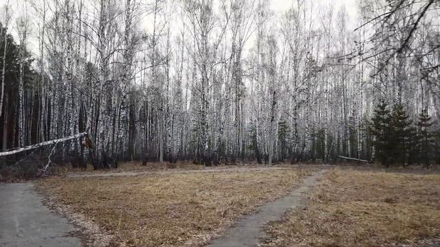 Заброшенный пионерский лагерь в Каштаке смотреть онлайн