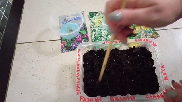 Выращивание клематисов из семян смотреть онлайн