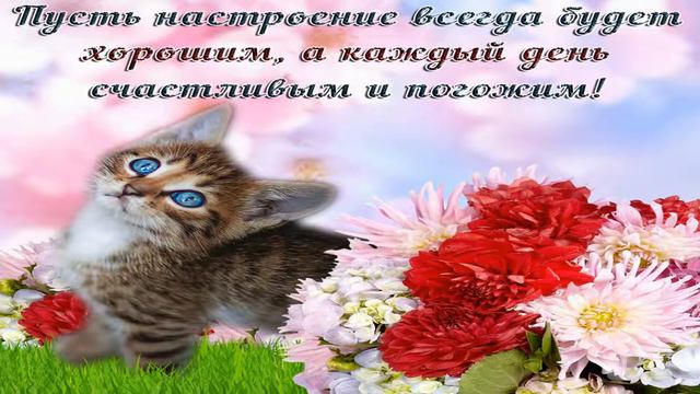 Хорошего настроения! Прекрасного дня! Музыкальное пожелание