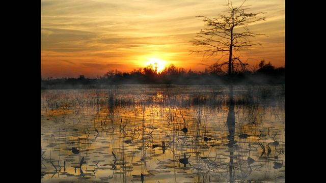 МОРОК смотреть онлайн