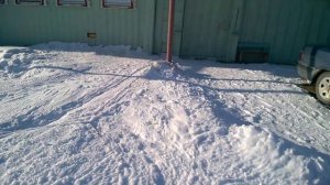 собака без конуры с выгулом на цепи с тросом