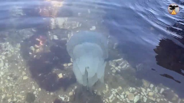 Крым, Генеральские пляжи, обзорное видео, часть 4 смотреть онлайн