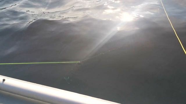 Ловля трески в белом море смотреть онлайн