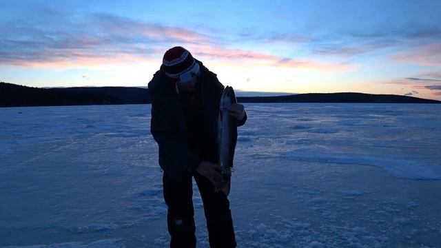 Alaska.Сюрприз на рыбалке.Её глаза смотрели на меня в молчании... смотреть онлайн