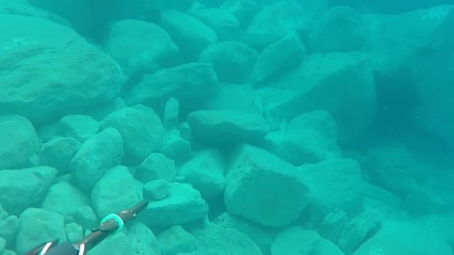 A Pesca Sub nel Basso Fondo SOLO con Muta Mimetica ed un Cappuccio - ALLA PORTATA DI TUTTI? смотреть онлайн