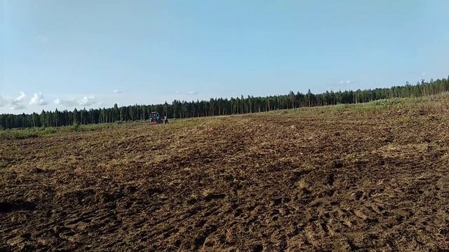 Клубника маточник начало .... смотреть онлайн