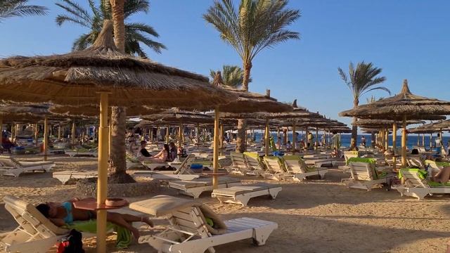 ХУРГАДА - ОБЗОРКА И ПОКУПКИ | ШОУ ГЛОТАТЕЛЯ МЕЧЕЙ И ОТЕЛЬ С ПТИЦЕФЕРМОЙ | SEAGULL BEACH RESORT смотреть онлайн