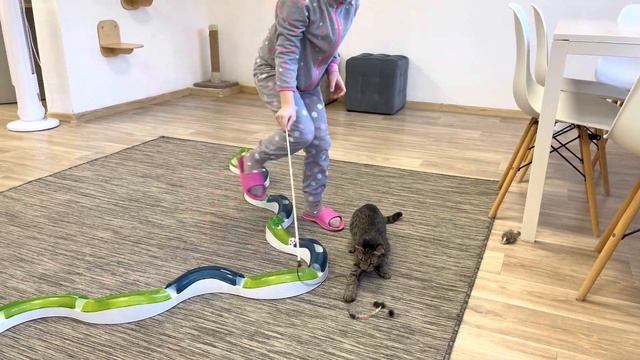 Котокафе в Екатеринбурге ? смотреть онлайн