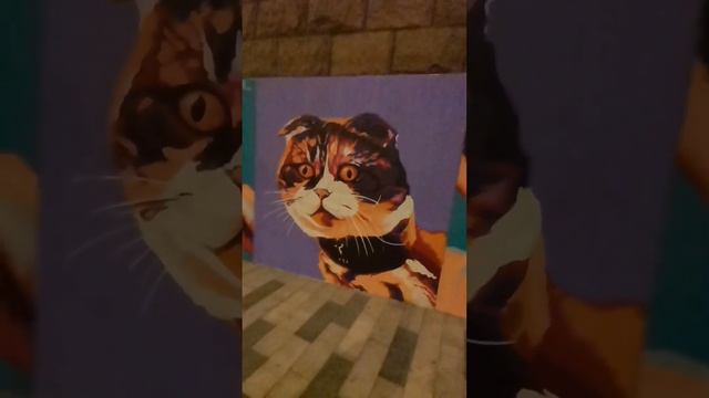 Коммунальный мост через Енисей | подробности в описании смотреть онлайн