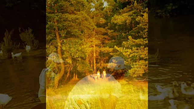 ОТДЫХ С ДЕТЬМИ. ВОРСКЛА - поход на байдарках 2. смотреть онлайн