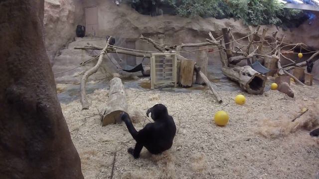 Чехия Прага смотреть онлайн