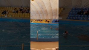 Одесский дельфинарий #одеса #одесса #море #odesa #sea #odessa #дельфины #дельфинарий
