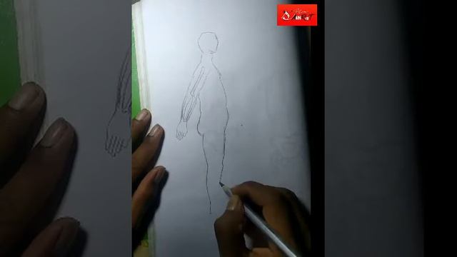 body figure sketch / samrat art /2022 смотреть онлайн