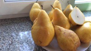 Груша Ноябрьская