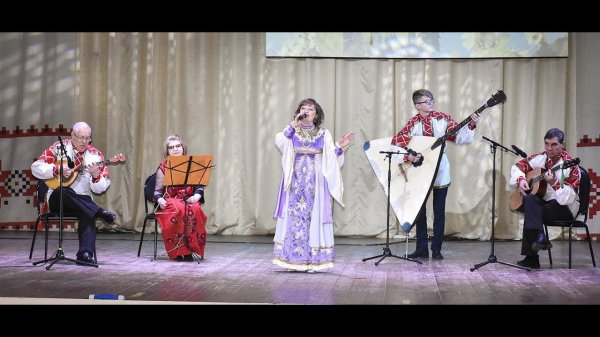 Отчетный концерт Добринского района