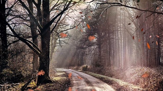 Сладкий Нагуаль " Великая Тартария " (Часть 8) Глава 4. Религия. смотреть онлайн