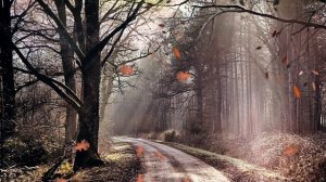 Сладкий Нагуаль " Великая Тартария " (Часть 8) Глава 4. Религия.