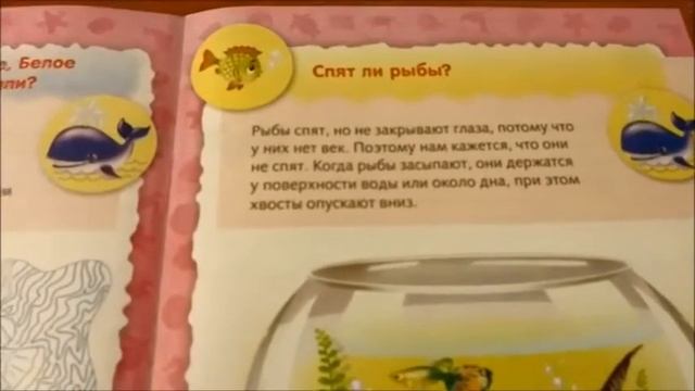 Фикс прайс / Заодно смотреть онлайн