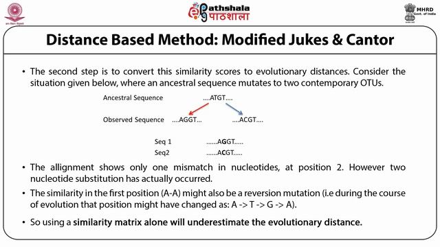 Molecular Phylogeny смотреть онлайн