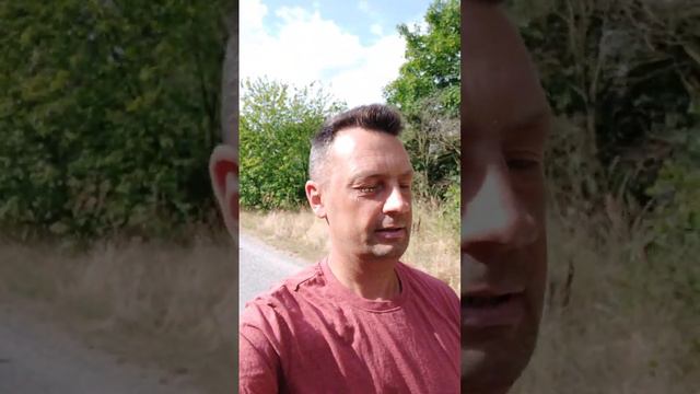 Высший разум вселенной смотреть онлайн