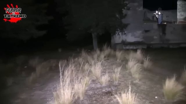 Страшные Видео на Которых Были Сняты Жуткие и Мистические Монстры смотреть онлайн