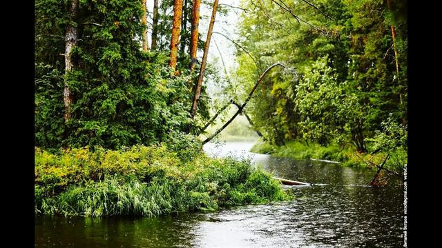 Реки Сибири Майский Жук смотреть онлайн