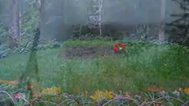 16.Любимый цвет (в/ц Прекрасная мельничиха) смотреть онлайн