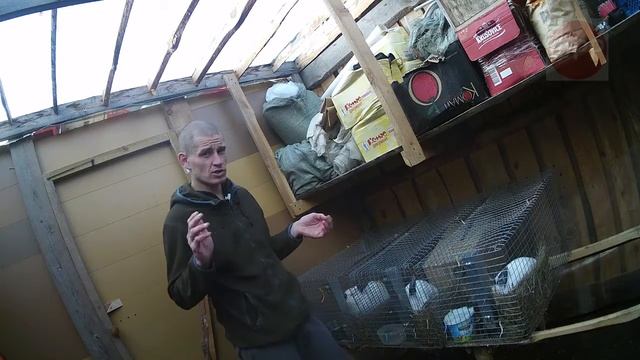 про село - рождение крольчат // Жизнь в деревне смотреть онлайн