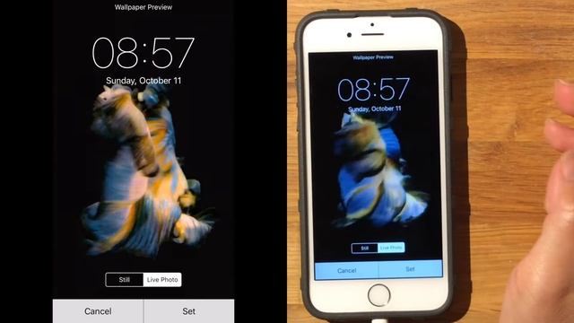 iPhone 6S Wallpaper Comes to Life! * 3D Force Touch iOS9 Walkthrough * смотреть онлайн