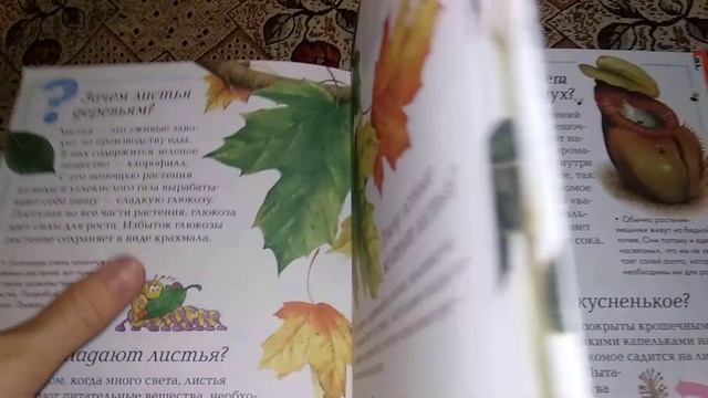 Обзор книги - новая детская энциклопедия