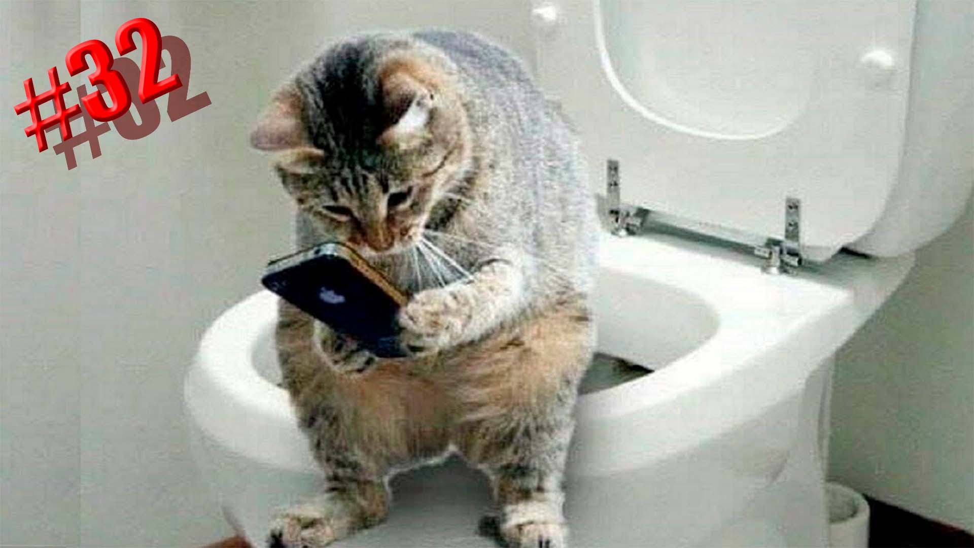 621 секунда Смеха ?? Смешных моментов | Милые котики Приколы с котами ?? Смешные коты #32 смотреть онлайн