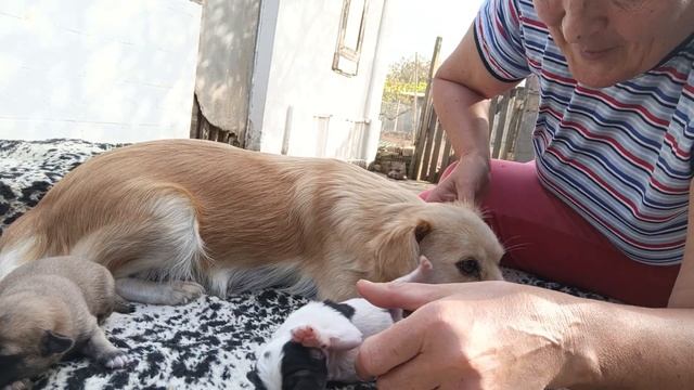 Прибавление в семье смотреть онлайн