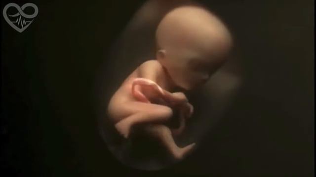 Как рождаются дети смотреть онлайн