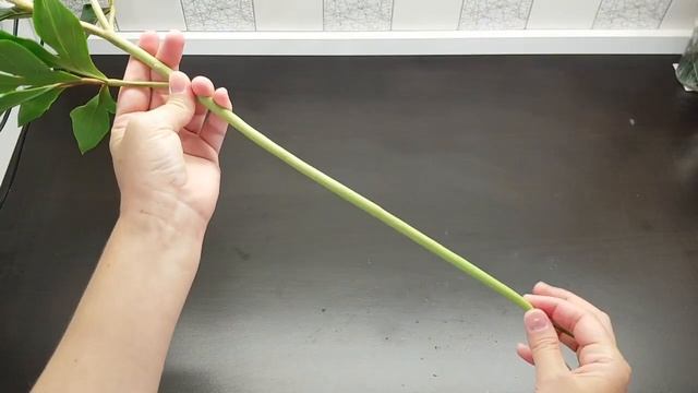 Розовые пионы из полимерной глины - все ракурсы цветка смотреть онлайн