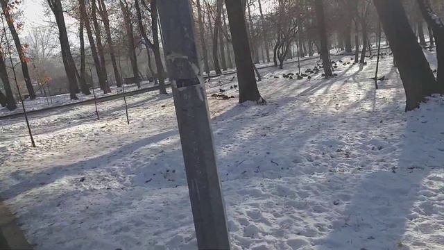 Прогулка в зимнем парке Горького. Республика Казахстан, город Алматы. 12 января 2021 год. смотреть онлайн