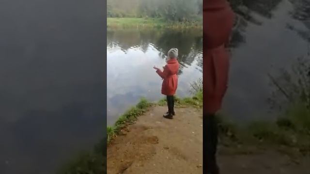 Кормим уток перед холодной зимой! смотреть онлайн