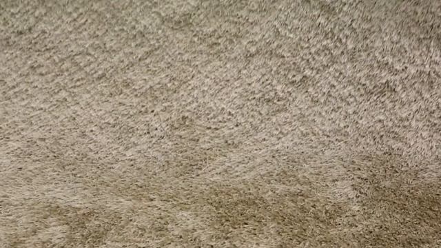 Ковер PSR17004-LBGE из коллекции SHAGGY LUXE на сайте kover.ru смотреть онлайн