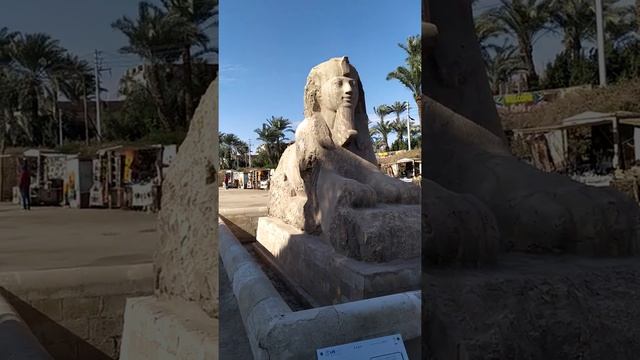 #egypt #travel #Memphis #cairo #egypttravelcc Albaster Sphinx Memphis