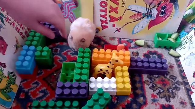 Хомяки делают обзор на рынок смотреть онлайн